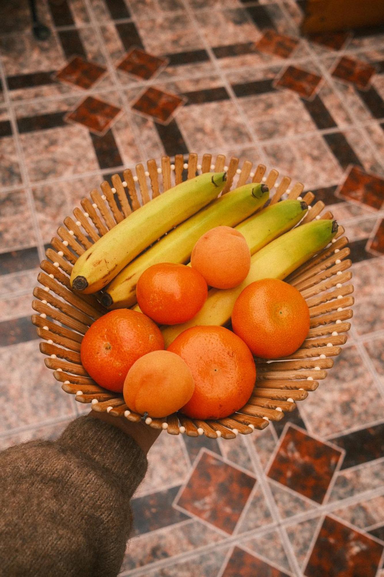 阿里卡 阳光灿烂旅馆旅舍 外观 照片